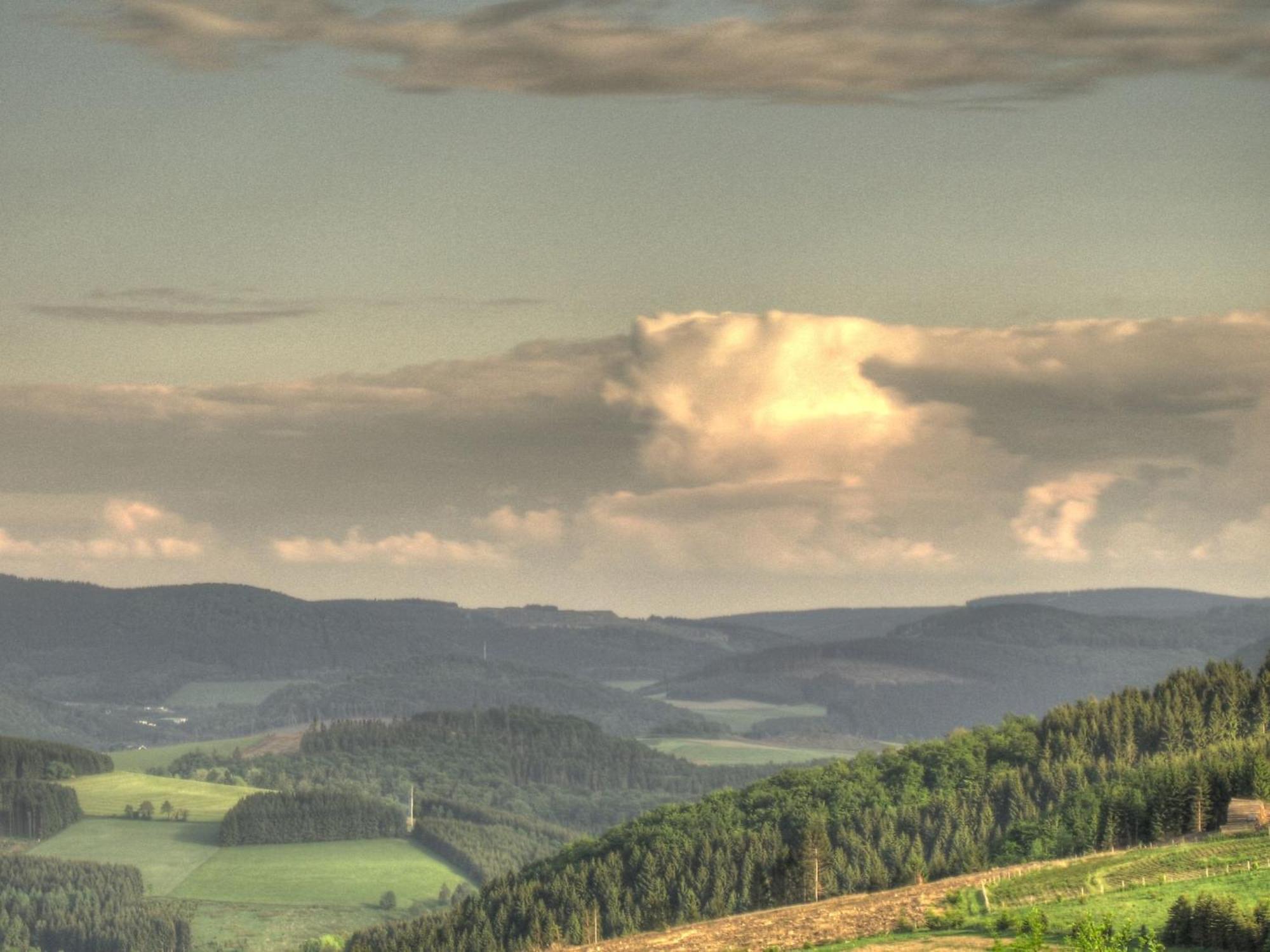 Cozy Holiday Home With Wifi In Hochsauerland Elpe Екстер'єр фото